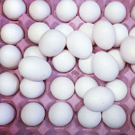 CHICKEN EGGS (FRESH FARM WHITE AND BROWN EGGS)