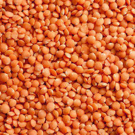 LENTILS