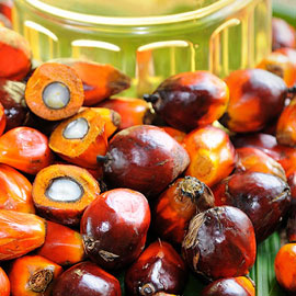 PALM OIL